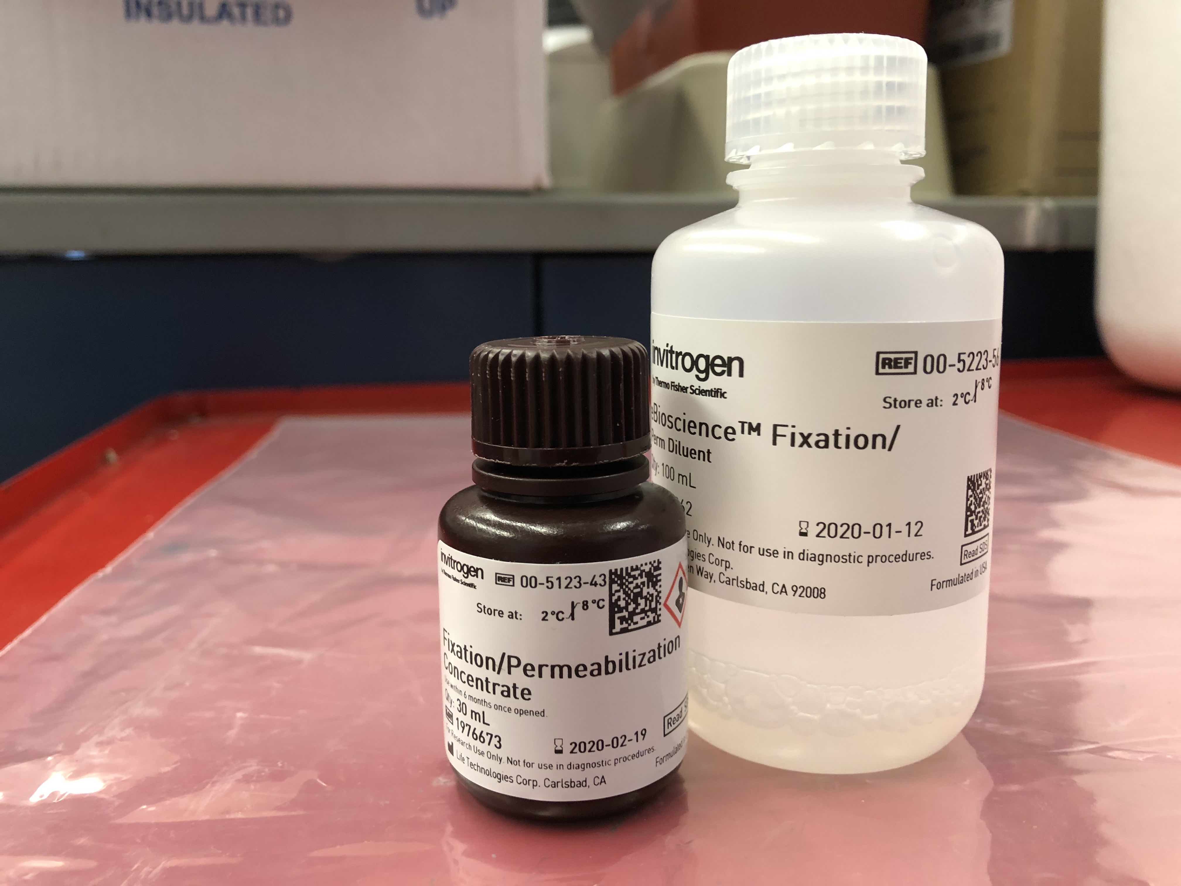 EasytoUse Fixation and Permeabilization for Intracellular Protein